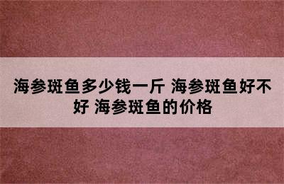 海参斑鱼多少钱一斤 海参斑鱼好不好 海参斑鱼的价格